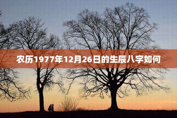 农历1977年12月26日的生辰八字如何
