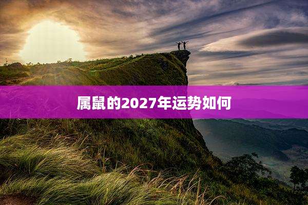 属鼠的2027年运势如何