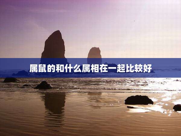 属鼠的和什么属相在一起比较好