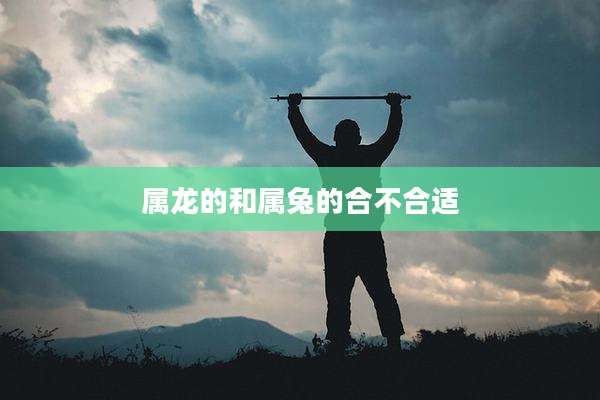 属龙的和属兔的合不合适