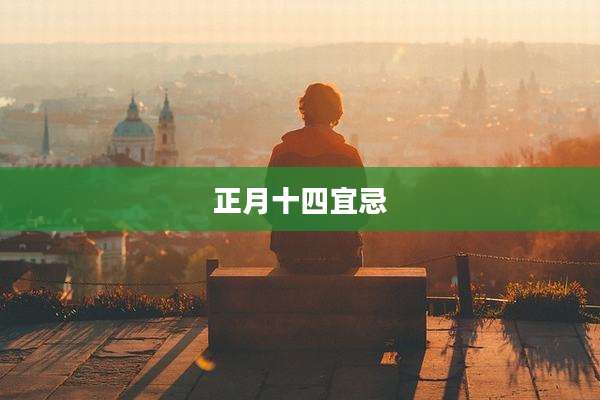 正月十四宜忌