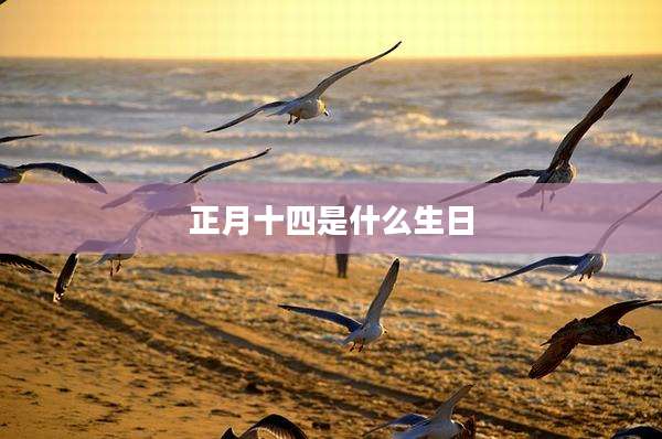 正月十四是什么生日