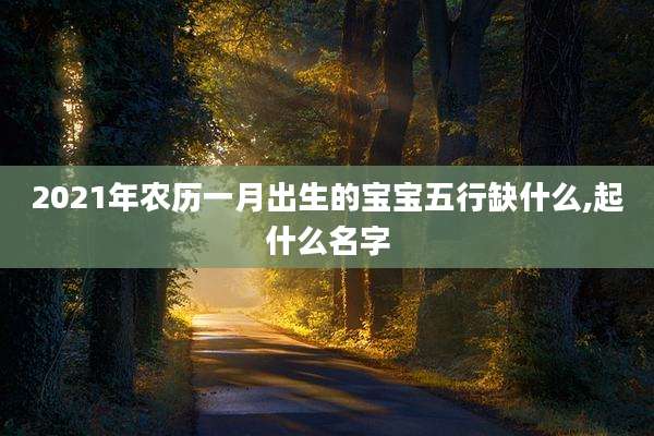 2021年农历一月出生的宝宝五行缺什么,起什么名字