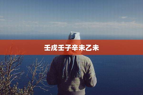 壬戌壬子辛未乙未