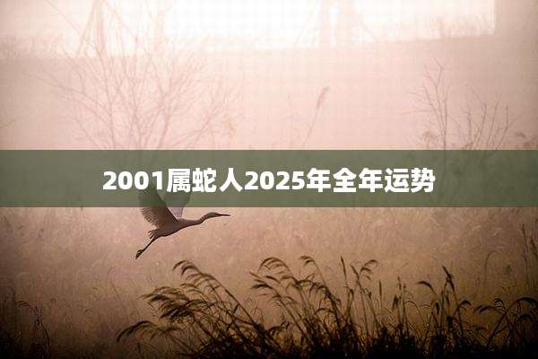2001属蛇人2025年全年运势