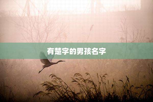 有楚字的男孩名字