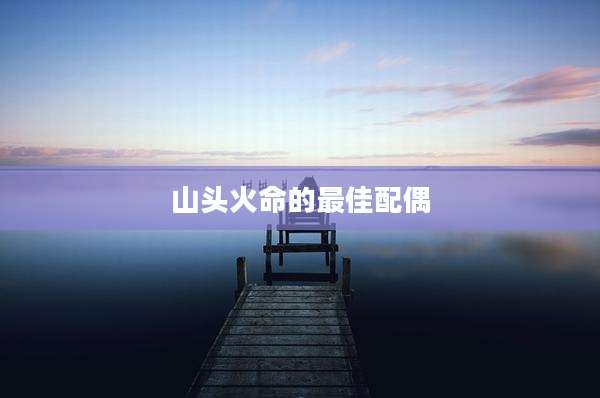 山头火命的最佳配偶