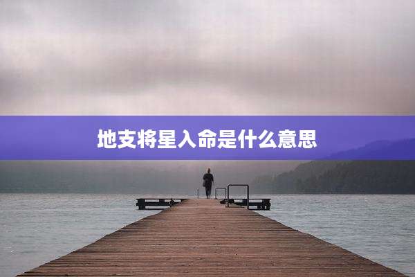 地支将星入命是什么意思