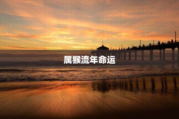 属猴流年命运