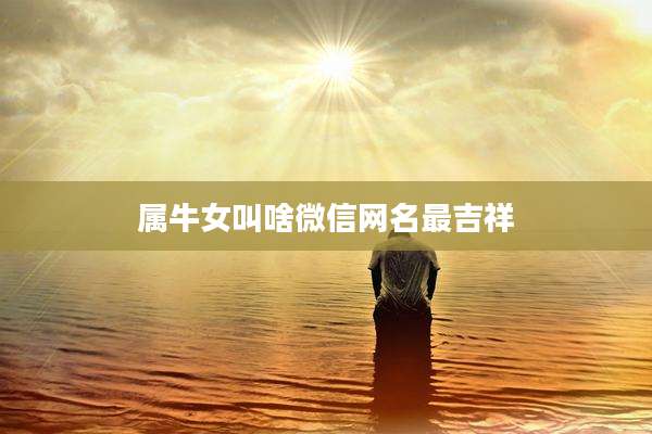 属牛女叫啥微信网名最吉祥