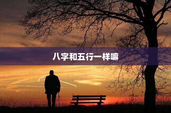 八字和五行一样嘛