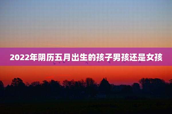 2022年阴历五月出生的孩子男孩还是女孩