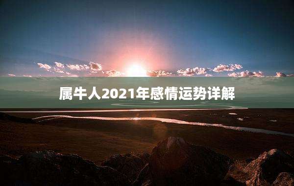 属牛人2021年感情运势详解