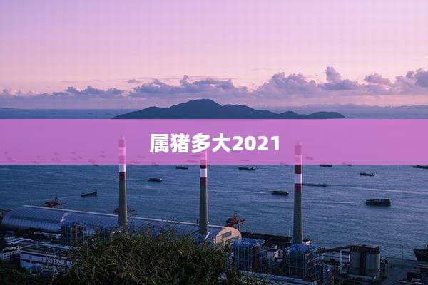 属猪多大2021