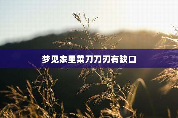 梦见家里菜刀刀刃有缺口