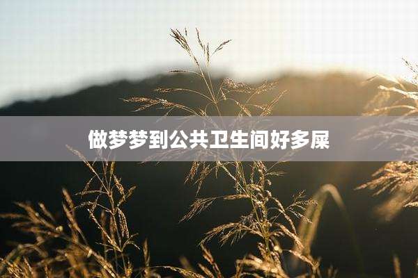 做梦梦到公共卫生间好多屎
