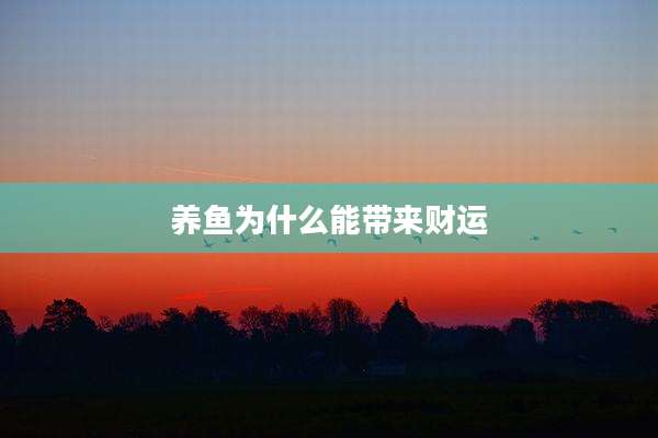 养鱼为什么能带来财运
