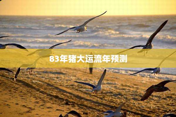 83年猪大运流年预测