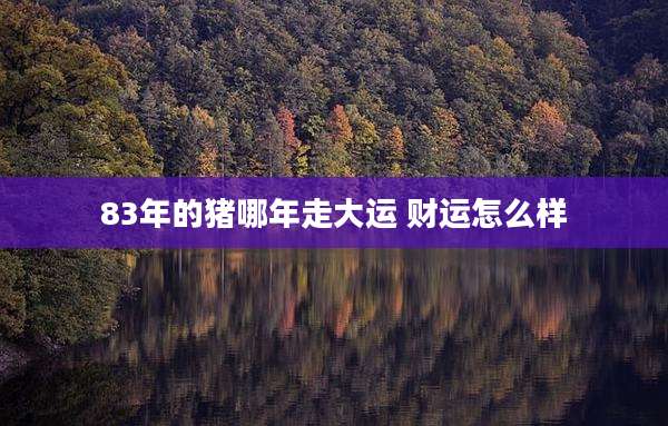 83年的猪哪年走大运 财运怎么样
