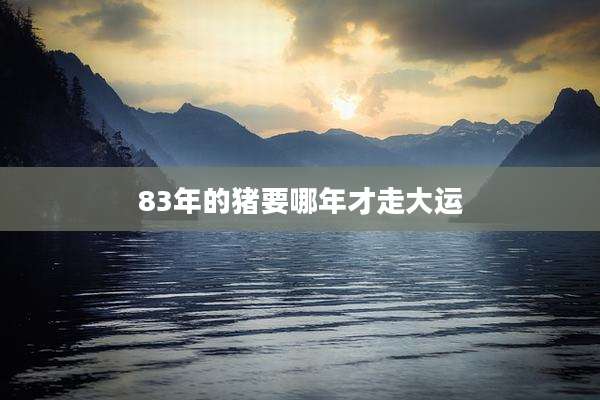 83年的猪要哪年才走大运