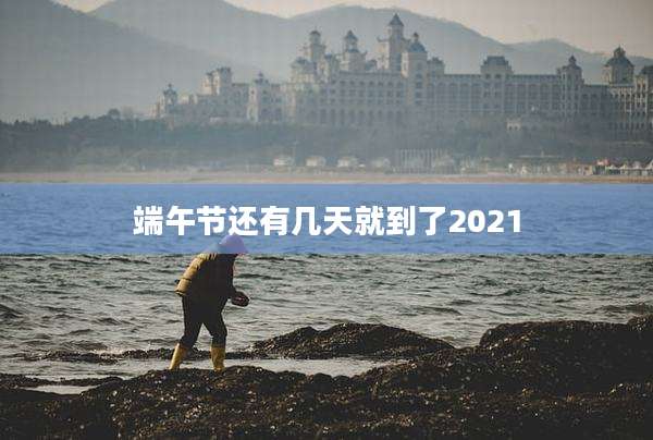 端午节还有几天就到了2021
