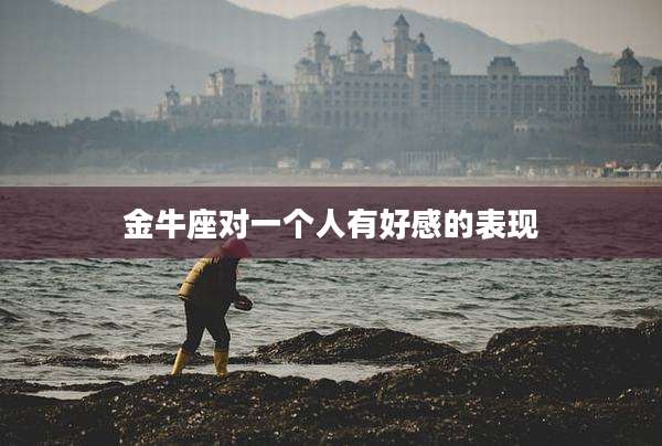 金牛座对一个人有好感的表现