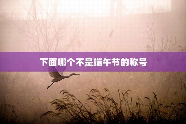 下面哪个不是端午节的称号