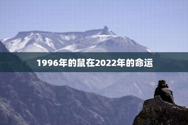 1996年的鼠在2022年的命运