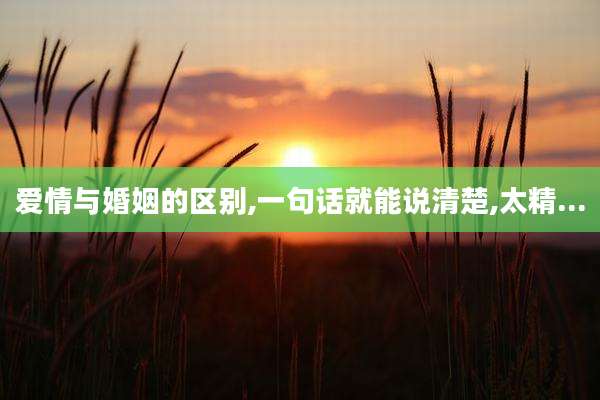 爱情与婚姻的区别,一句话就能说清楚,太精...