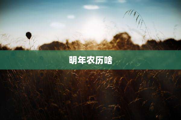 明年农历啥