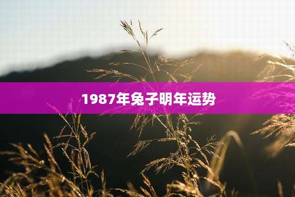 1987年兔子明年运势
