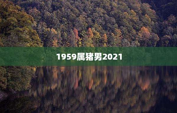 1959属猪男2021