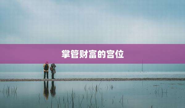 掌管财富的宫位
