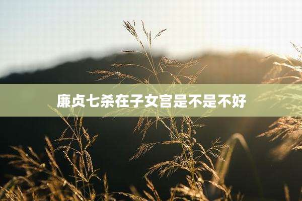 廉贞七杀在子女宫是不是不好