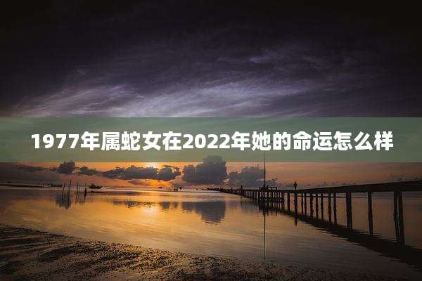 1977年属蛇女在2022年她的命运怎么样