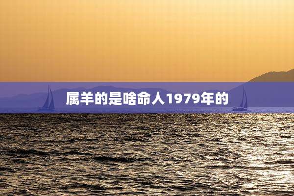 属羊的是啥命人1979年的