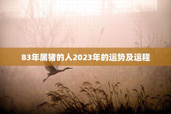 83年属猪的人2023年的运势及运程