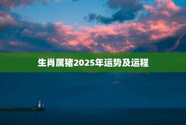 生肖属猪2025年运势及运程