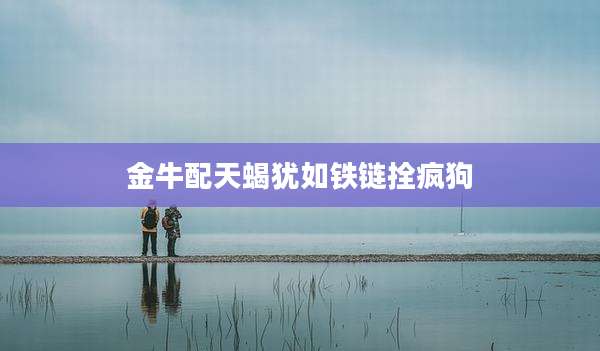 金牛配天蝎犹如铁链拴疯狗