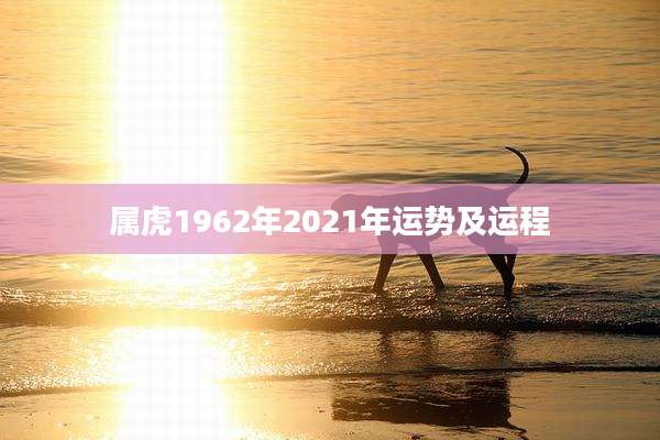 属虎1962年2021年运势及运程