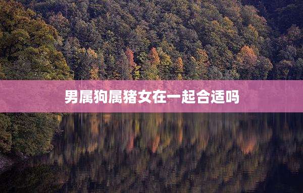 男属狗属猪女在一起合适吗