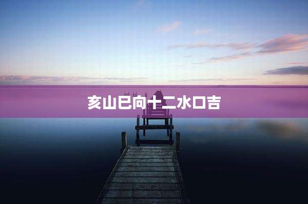 亥山巳向十二水口吉