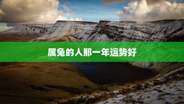 属兔的人那一年运势好