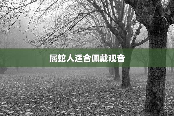 属蛇人适合佩戴观音