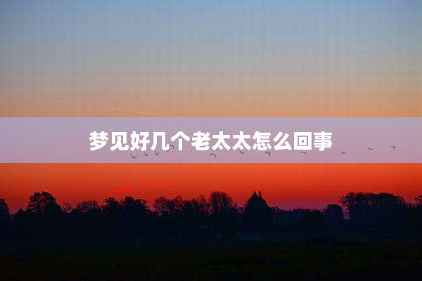 梦见好几个老太太怎么回事