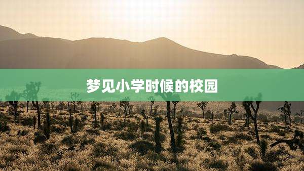 梦见小学时候的校园