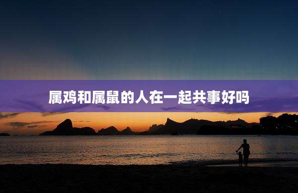 属鸡和属鼠的人在一起共事好吗