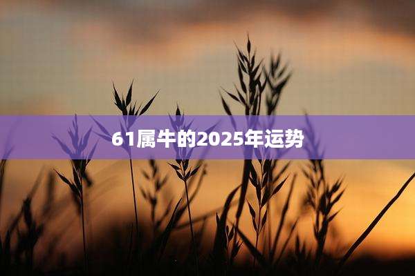 61属牛的2025年运势