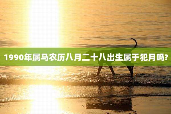 1990年属马农历八月二十八出生属于犯月吗?