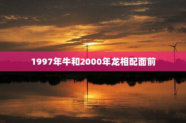 1997年牛和2000年龙相配面前